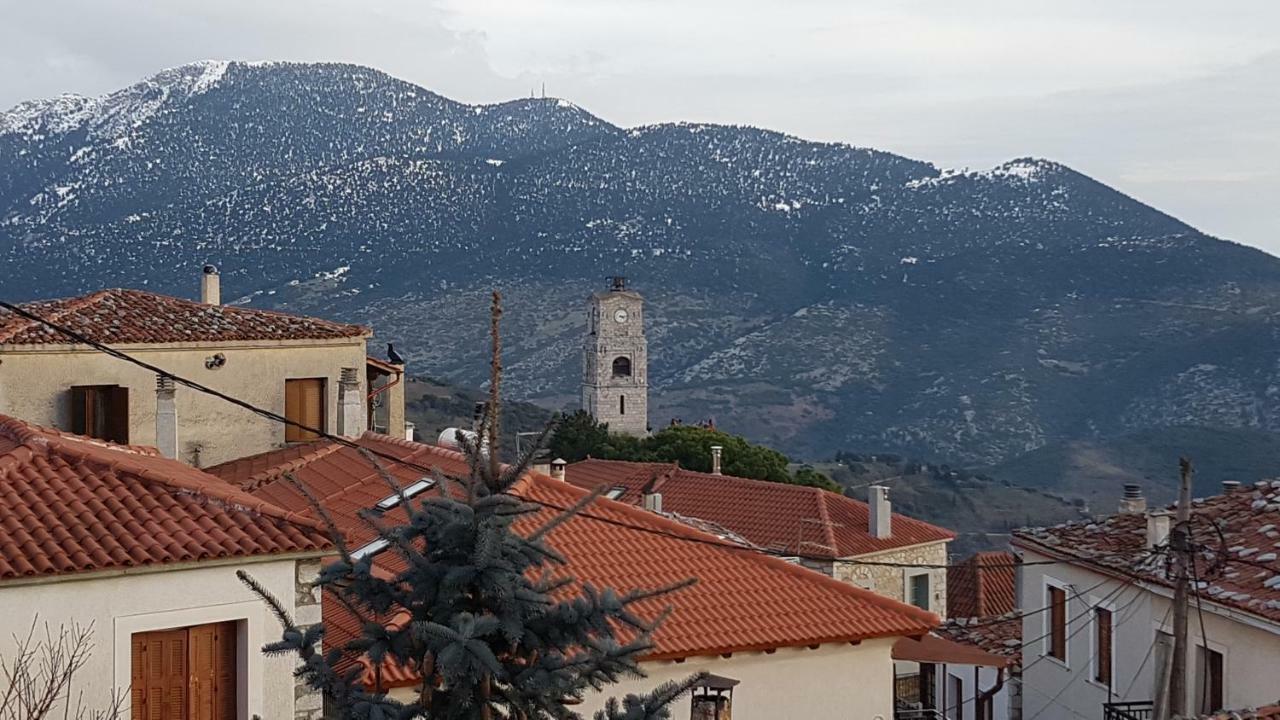 Appartamento Pano'S House Arachova Esterno foto